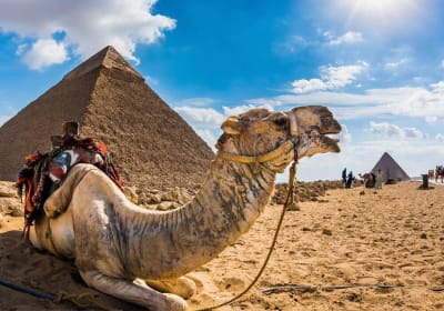 Pyramids Tour with Cafelluca Lunch 2