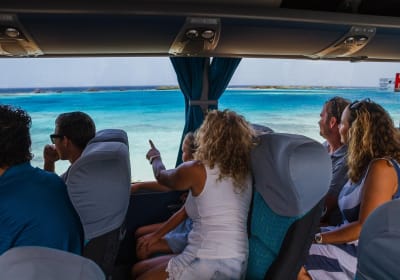 Aruba Island Highlights Tour 2