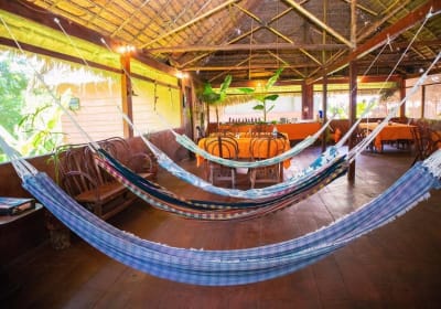 2-Day Amazon Jungle Adventure 2