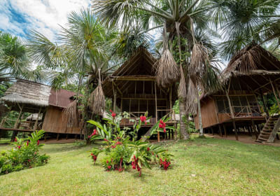 3-Day Amazon Adventure in Peru 2