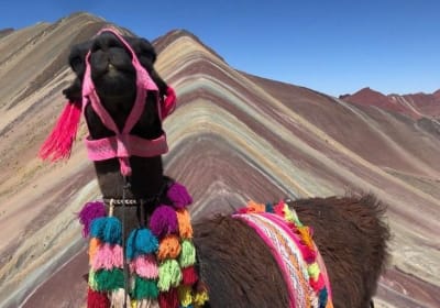 Vinicunca Rainbow Mountain Full-Day Tour from Cusco 2