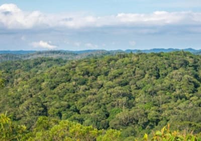 Sun Ray Waterfalls Full-Day Hiking Tour 2
