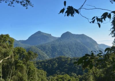Rio's Top Wildest Beaches Tour 2