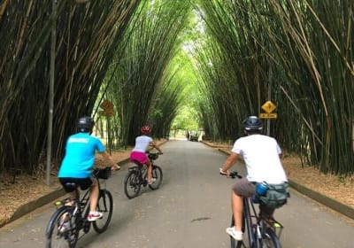 Sao Paulo Urban Bike Tour 2