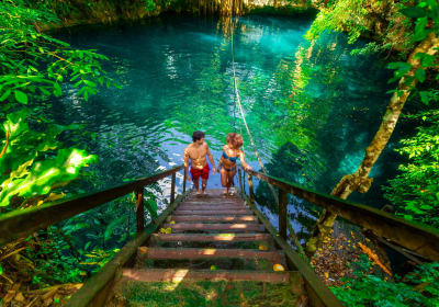 Jungle ATV Adventure with Ziplines and Cenote Swim 2
