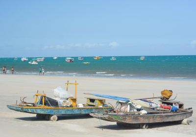 Maragogi Beach Day with Catamaran Tour 2