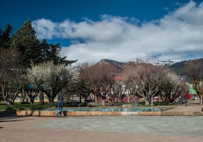 Coyhaique Private Half-Day Sightseeing Tour and Brewery Visit 2