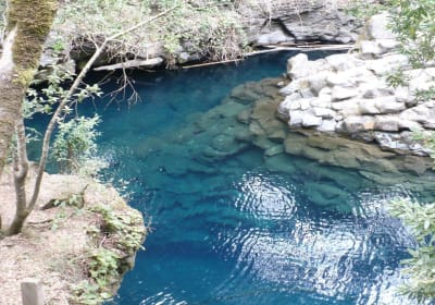 Half-Day Tour to The Eyes of Caburgua from Pucón 2