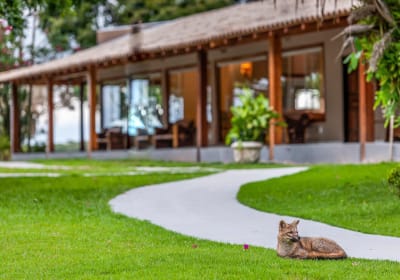 Pantanal Norte Classic Package 2