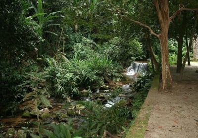 Rio de Janeiro Jeep Tour: Botanical Garden & Tijuca Rainforest 2