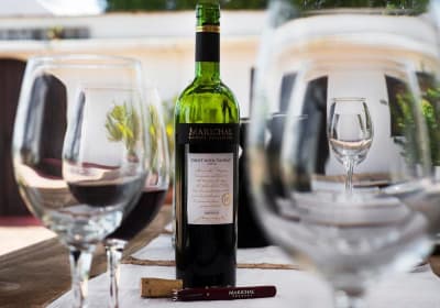 Montevideo Wine Cellar Tour with Lunch 2