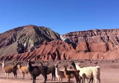 Rainbow Valley Tour in Atacama 2