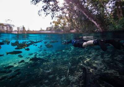 Snorkel in the Sucuri River 2