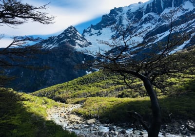 Express W Circuit Trek in Torres del Paine 2