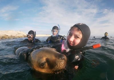 Snorkeling with Sea Lions in Puerto Madryn 2