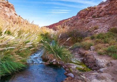 Puritama Canyon and Guatin Trekking Adventure 2