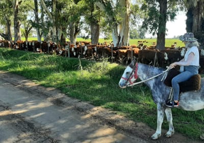 Buenos Aires 4-Day Bike & Horseback Adventure 2