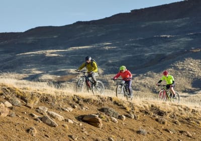 Patagonian Safari: Exploring Nature by Bike 2