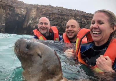 Palomino Islands Sea Lion Swimming Tour 2
