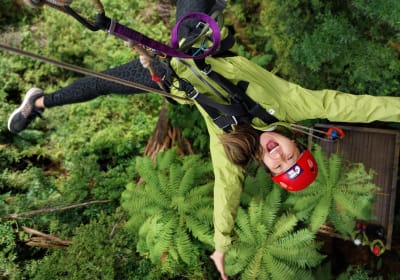 Rotorua Forest Zipline Adventure 2
