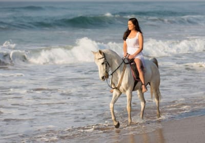 Nabq Bay Beach Horseback Ride 2