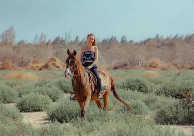Agadir Horse Riding Adventure 2