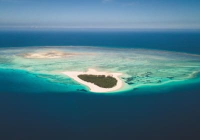 Mnemba Island Live Aquarium & Turtle House Tour 2