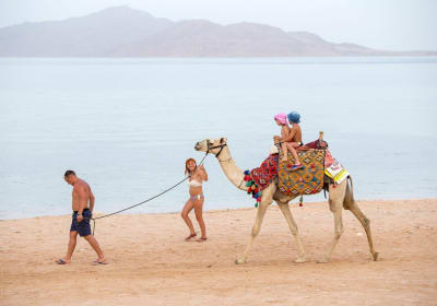 Desert & Sea Camel Riding Adventure 2