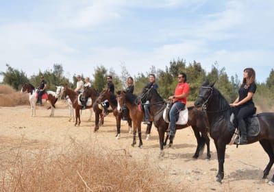 Horse Riding and ATV Quad Bike Safari in Sharm El Sheikh 2