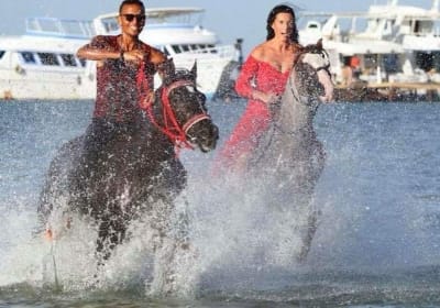 Hurghada Horseback Riding, Parasailing & Semi-Submarine Adventure 2