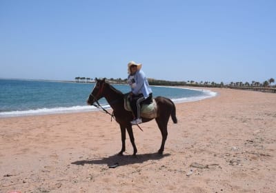 Hurghada ATV Quad & Horseback Adventure 2