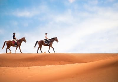 Doha Desert Horseback Riding Adventure 2