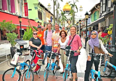 Lion City Bike Tour of Singapore 2