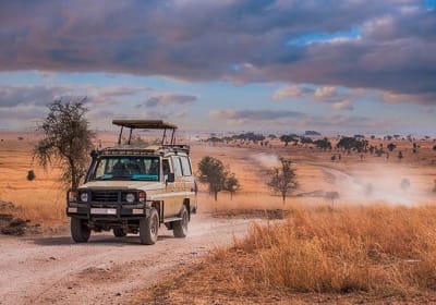 Selous Fly-In Safari from Zanzibar 2
