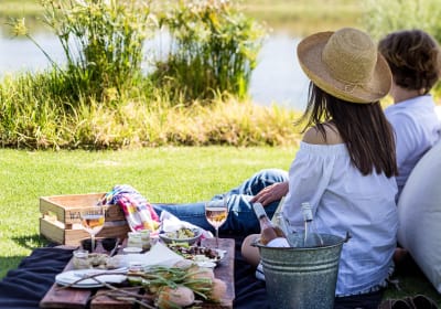 Cape Town Helicopter, Wine Tasting & Picnic Lunch Private Tour 2