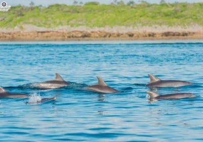 Zanzibar Island & Selous Safari Adventure 2