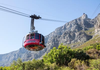 Cape Town Adventure: Ziplining, Wine Tasting & Table Mountain Tour 2
