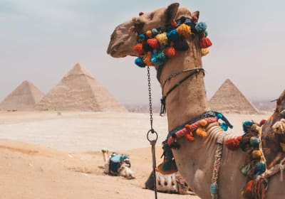 Hurghada to Cairo & Giza Highlights Tour 2
