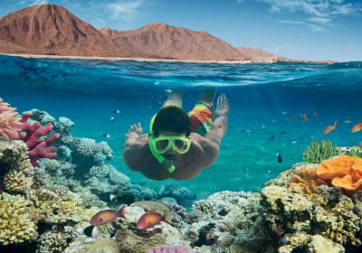 Hurghada Paradise Island Snorkeling Tour 2