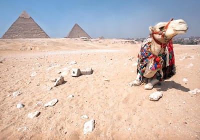 Hurghada to Cairo 2-Day Tour with Flights and Hotel 2