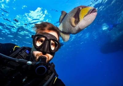 Ras Mohamed & White Island Snorkeling Adventure 2