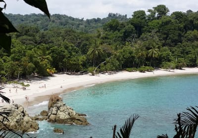 Manuel Antonio National Park Wildlife Tour 2