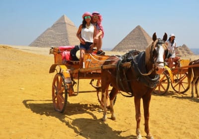 Private Half-Day Giza Pyramids & Sphinx Tour 2