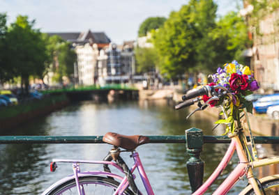 Amsterdam Countryside Bike Tour 2