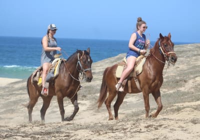 Cabo Desert ATV & Beach Horseback Combo 2