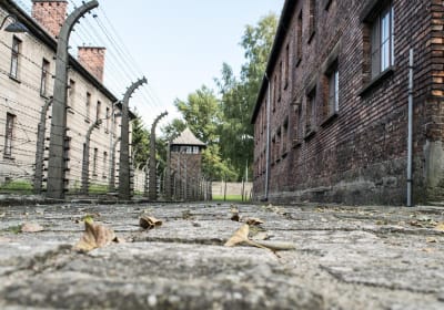 Auschwitz-Birkenau Guided Tour with Pickup 2