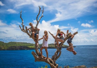 Kelingking Beach Nusa Penida Instagram Tour 2