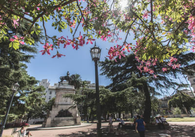 Montevideo 2-Day Getaway from Buenos Aires 2