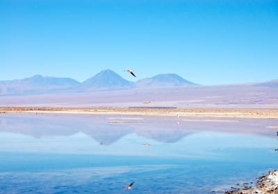 San Pedro de Atacama 4-Day Adventure 2