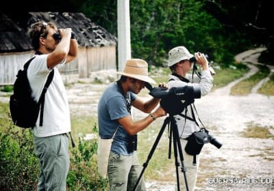 Sian Ka'an Muyil Bird-Watching Tour 2